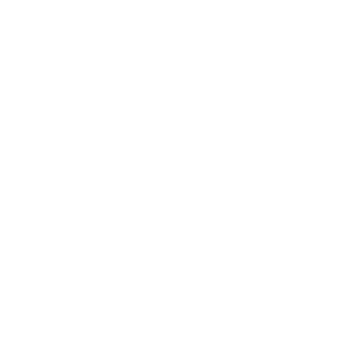 Cleaning Audit